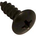 Turbochef Black Oxide Plate Screw #8 Ser 101691